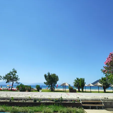 Ξενοδοχείο Surf